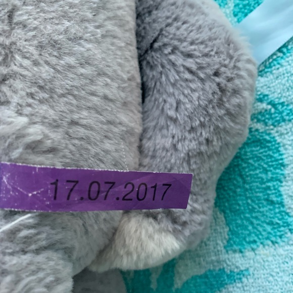 Elephant - Picture 6 of 8